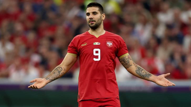 Aleksander Mitrovic